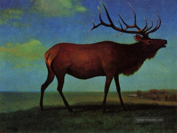 Bierstadt Galerie - Elk Albert Bierstadt